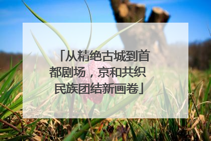从精绝古城到首都剧场，京和共织民族团结新画卷