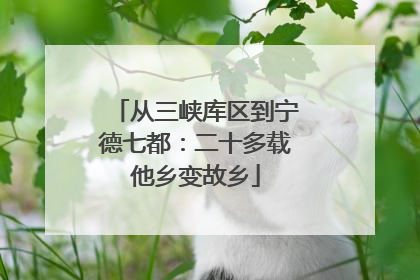 从三峡库区到宁德七都：二十多载他乡变故乡