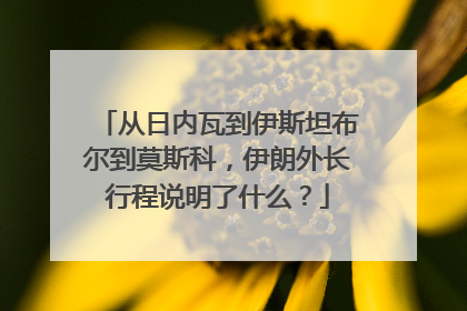 从日内瓦到伊斯坦布尔到莫斯科，伊朗外长行程说明了什么？