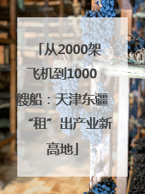 从2000架飞机到1000艘船：天津东疆“租”出产业新高地