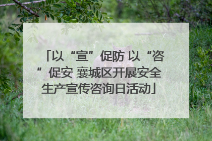 以“宣”促防 以“咨”促安 襄城区开展安全生产宣传咨询日活动
