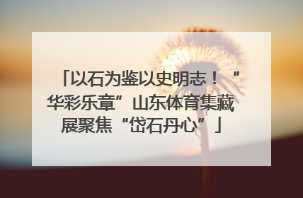 以石为鉴以史明志！“华彩乐章”山东体育集藏展聚焦“岱石丹心”