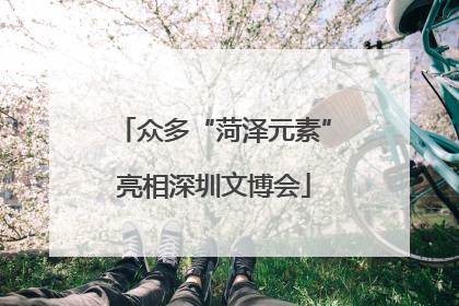 众多“菏泽元素”亮相深圳文博会
