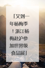 又到一年杨梅季！浙江杨梅赴沪参加世界级食品展