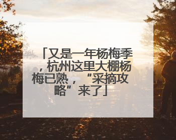 又是一年杨梅季，杭州这里大棚杨梅已熟，“采摘攻略”来了
