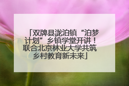 双牌县泷泊镇“泊梦计划”乡镇学堂开讲！联合北京林业大学共筑乡村教育新未来