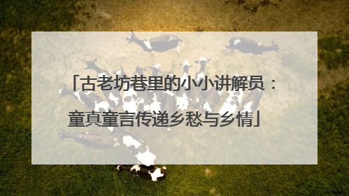 古老坊巷里的小小讲解员：童真童言传递乡愁与乡情