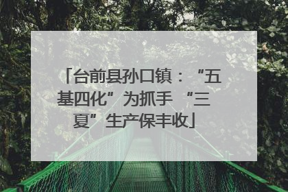 台前县孙口镇：“五基四化”为抓手 “三夏”生产保丰收