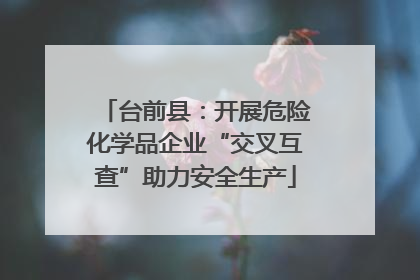 台前县：开展危险化学品企业“交叉互查”助力安全生产