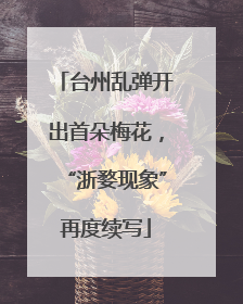 台州乱弹开出首朵梅花，“浙婺现象”再度续写