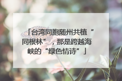 台湾同胞随州共植“同根林”，那是跨越海峡的“绿色情诗”