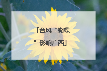 台风“蝴蝶”影响广西
