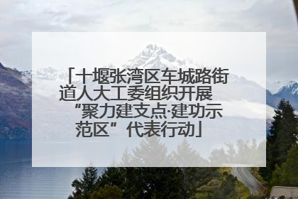 十堰张湾区车城路街道人大工委组织开展 “聚力建支点·建功示范区”代表行动