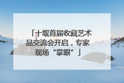 十堰首届收藏艺术品交流会开启，专家现场“掌眼”