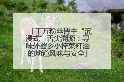 千万粉丝博主“沉浸式”舌尖溯源：寻味外婆乡小榨菜籽油的地道风味与安全