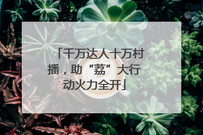 千万达人十万村播，助“荔”大行动火力全开