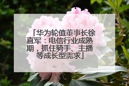 华为轮值董事长徐直军：电信行业成熟期，抓住骑手、主播等成长型需求