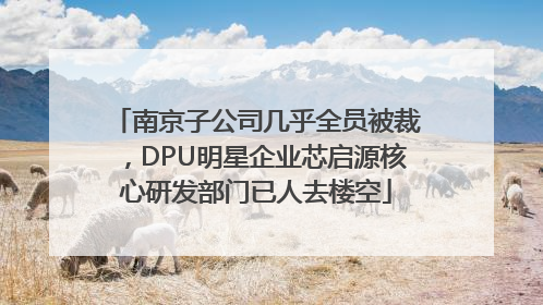 南京子公司几乎全员被裁，DPU明星企业芯启源核心研发部门已人去楼空