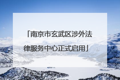 南京市玄武区涉外法律服务中心正式启用