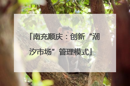 南充顺庆：创新“潮汐市场”管理模式