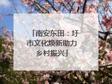 南安东田：圩市文化焕新助力乡村振兴