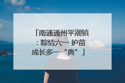 南通通州平潮镇：粽情六一 护苗成长多一“典”