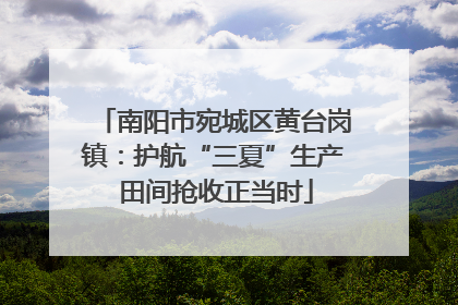 南阳市宛城区黄台岗镇：护航“三夏”生产 田间抢收正当时