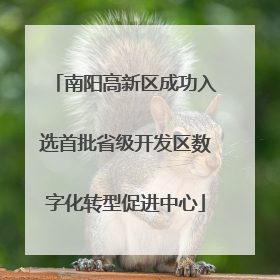 南阳高新区成功入选首批省级开发区数字化转型促进中心