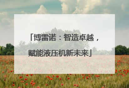 博雷诺：智造卓越，赋能液压机新未来