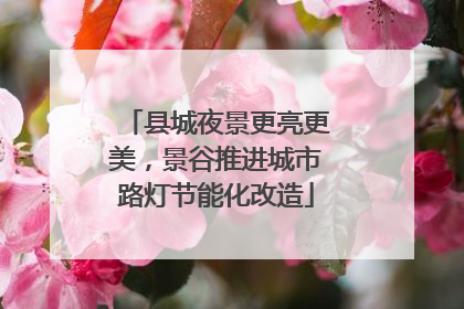 县城夜景更亮更美，景谷推进城市路灯节能化改造