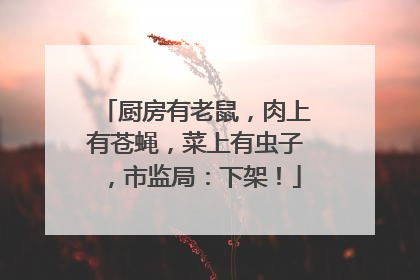 厨房有老鼠，肉上有苍蝇，菜上有虫子，市监局：下架！