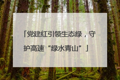 党建红引领生态绿，守护高速“绿水青山”