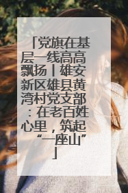 党旗在基层一线高高飘扬丨雄安新区雄县黄湾村党支部：在老百姓心里，筑起“一座山”