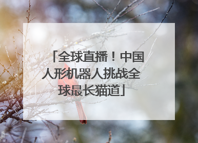 全球直播！中国人形机器人挑战全球最长猫道
