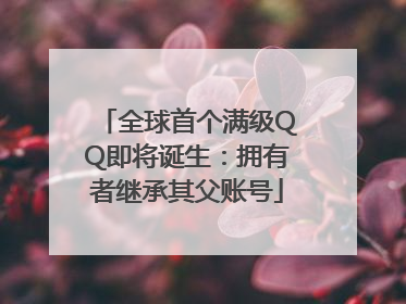 全球首个满级QQ即将诞生：拥有者继承其父账号