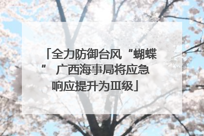 全力防御台风“蝴蝶” 广西海事局将应急响应提升为Ⅲ级