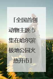 全国首创动物主题市集在哈尔滨极地公园火热开市