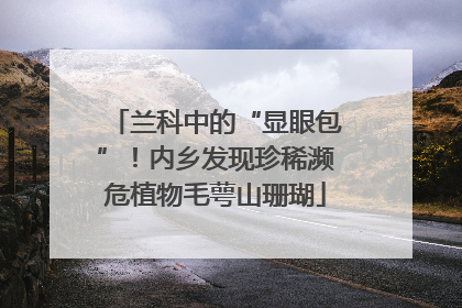 兰科中的“显眼包”！内乡发现珍稀濒危植物毛萼山珊瑚