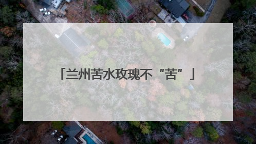兰州苦水玫瑰不“苦”