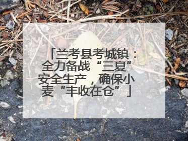 兰考县考城镇：全力备战“三夏”安全生产，确保小麦“丰收在仓”