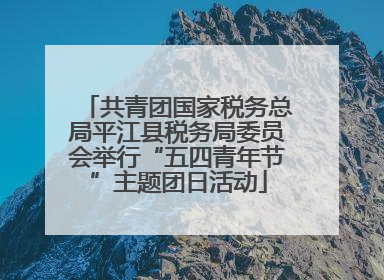 共青团国家税务总局平江县税务局委员会举行“五四青年节”主题团日活动