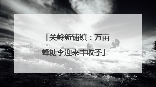 关岭新铺镇：万亩蜂糖李迎来丰收季