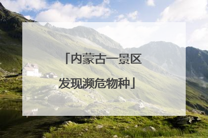 内蒙古一景区发现濒危物种