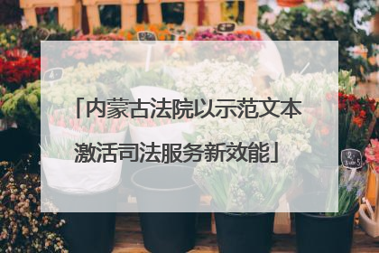 内蒙古法院以示范文本激活司法服务新效能
