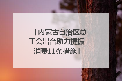 内蒙古自治区总工会出台助力提振消费11条措施