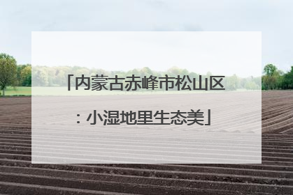 内蒙古赤峰市松山区：小湿地里生态美