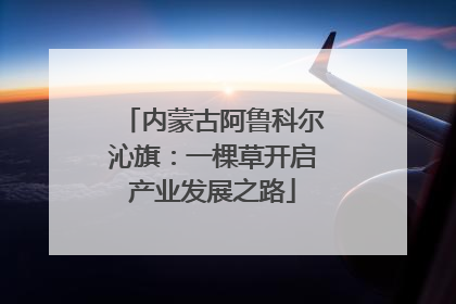 内蒙古阿鲁科尔沁旗：一棵草开启产业发展之路