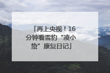 再上央视！16分钟看雪豹“凌小蛰”康复日记