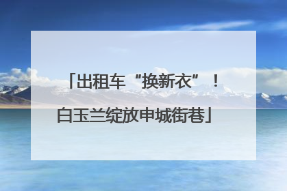 出租车“换新衣”！白玉兰绽放申城街巷