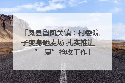 凤县留凤关镇：村委院子变身晒麦场 扎实推进“三夏”抢收工作